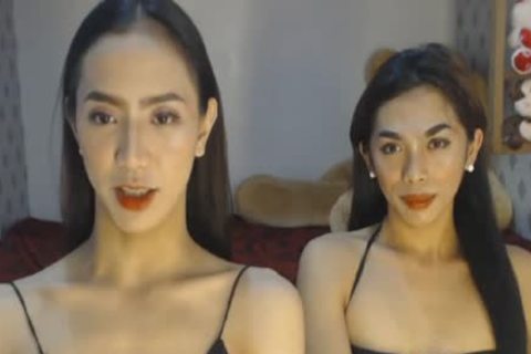 oriental Skinny sheboys large penis oral sex stimulation