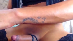 ladyboy dick Stroking On web camera