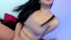 Calm sleazy Ladyboy Jerking dick web camera
